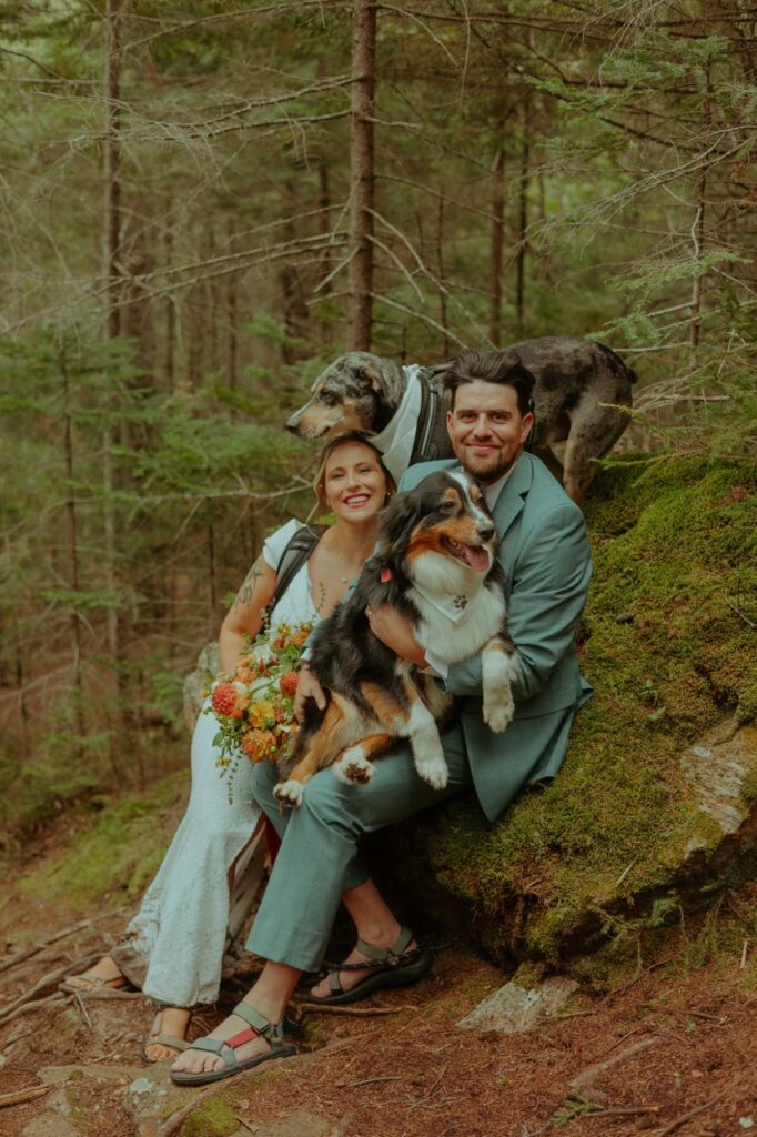 bride and groom with their dogs at their maine elopement