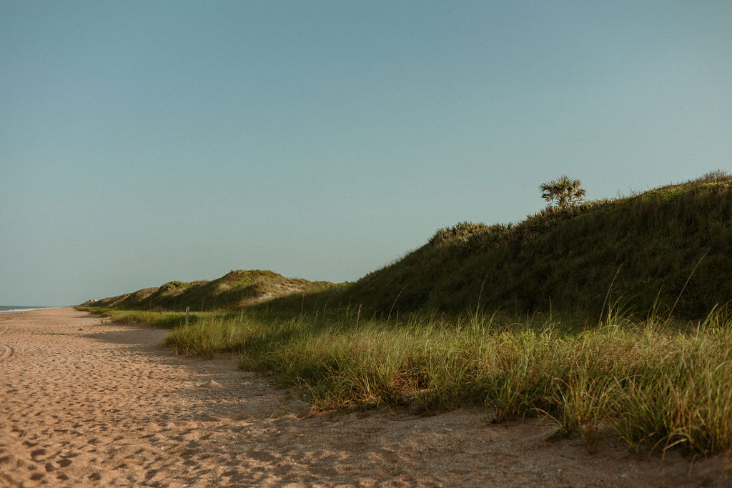 landscape photo of the dunes at St Augustine beach