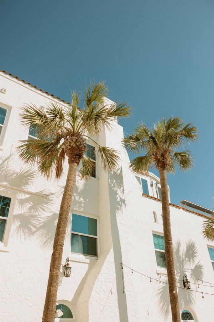 two palm trees in front of a building