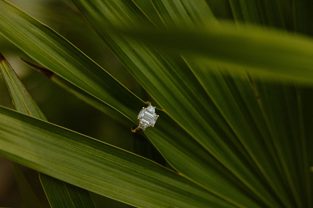 A close up of a ring on a palm leaf