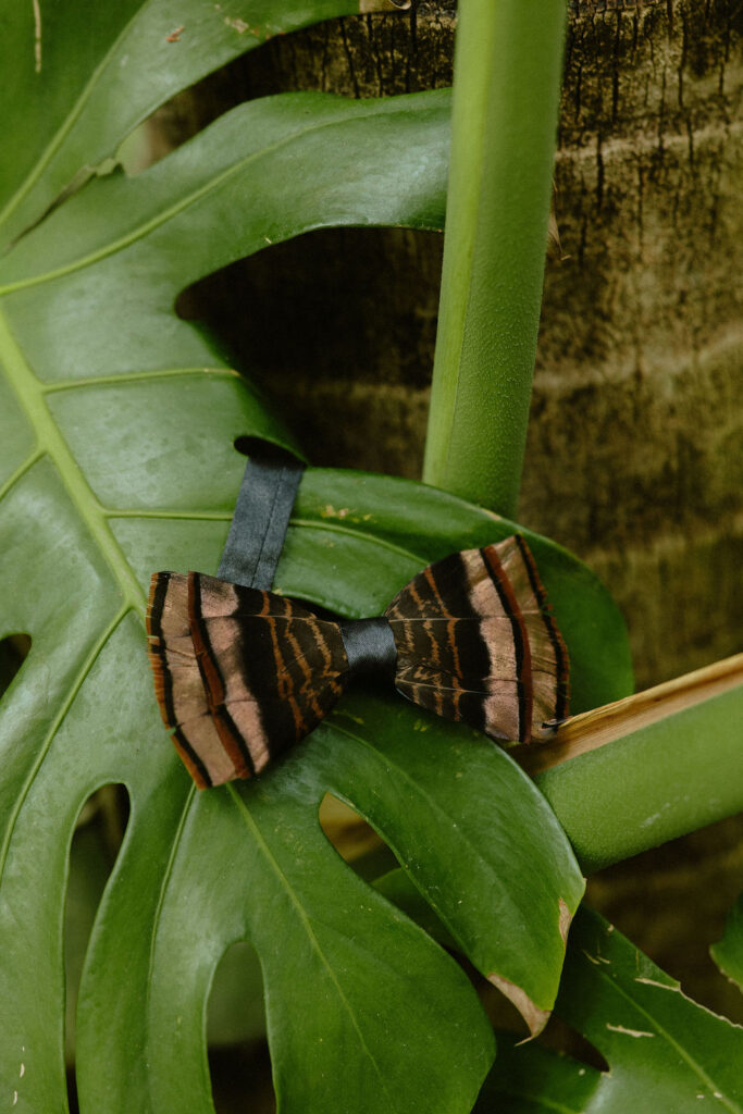 A turkey feather bowtie sitting on a palm leaf